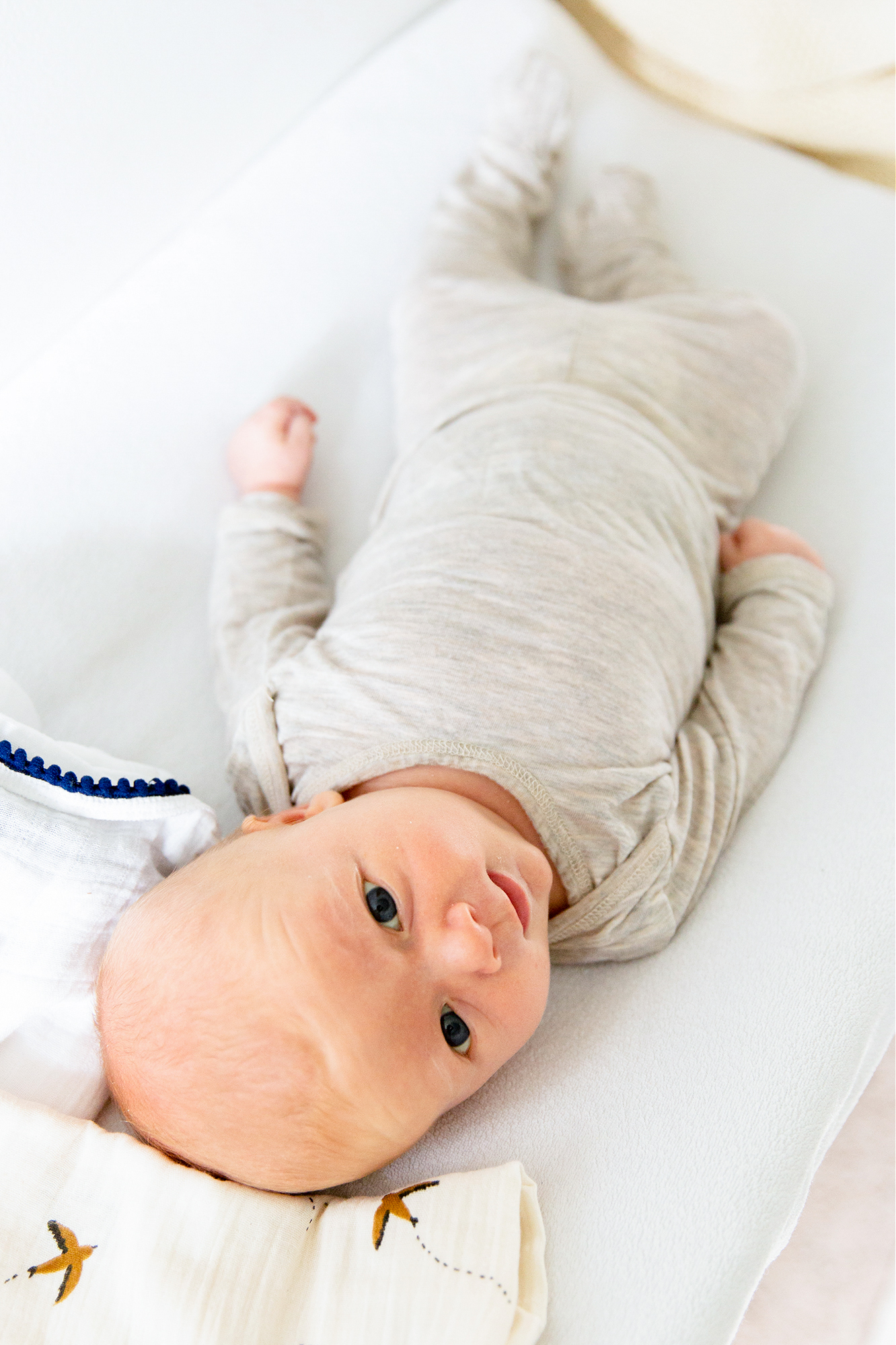 Utah Newborn Photographer