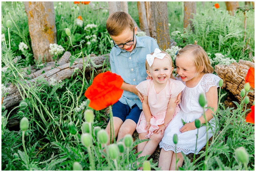 Utah Family Photographer | Utah Poppy Fields