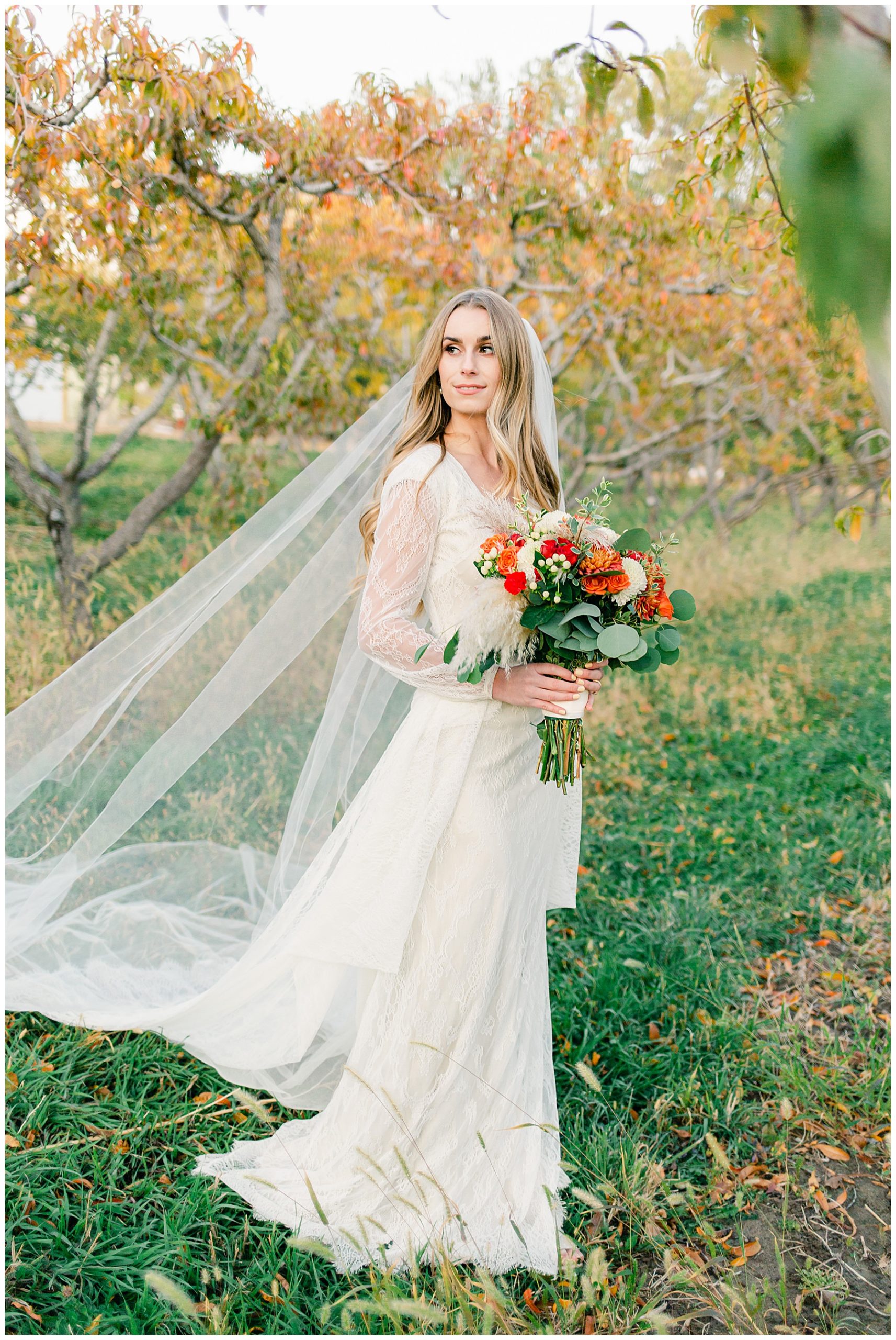 Utah Wedding Photographer, Utah Bridals, Utah Orchard Bridal Session, Utah Bride, Utah Valley Bride, Alpine Utah, Burgess Orchard